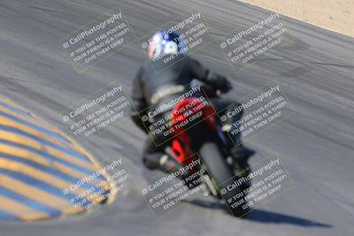 media/Nov-12-2023-SoCal Trackdays (Sun) [[5d1fba4e7d]]/Turn 10 Backside (115pm)/